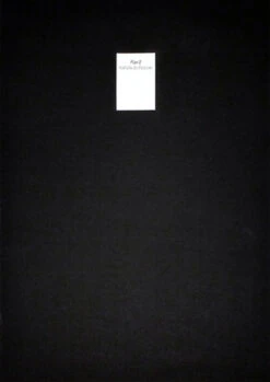 Nathalie Du Pasquier - Plan B