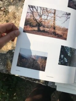 Paysage Ouvert -Yvon Lambert Soldes 0df2c734 10f3 4fb8 8d1e 0a15bd922332