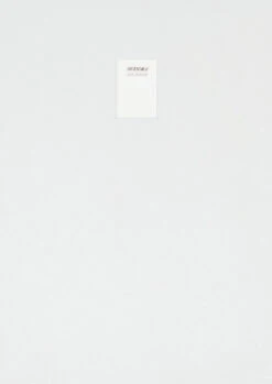 Loris Gréaud - /MIˈÆNDƏ(ɹ)/ Meander