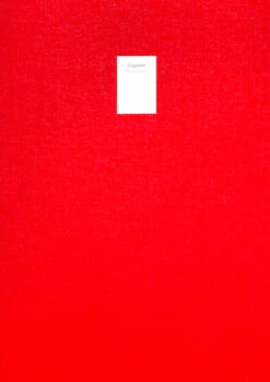 Mircea Cantor - Dragobete