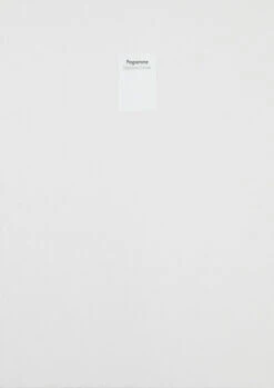 Stéphane Crémer - Programme