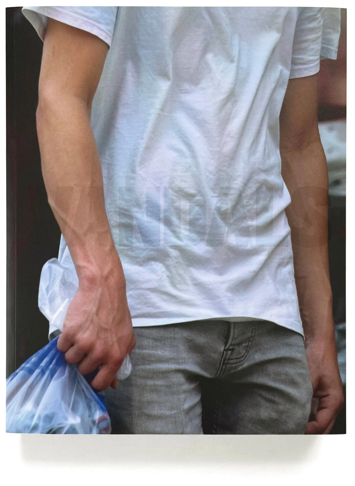 Winter Vandenbrink - Vandals 4 Winter Vandenbrink - Vandals – Image 2