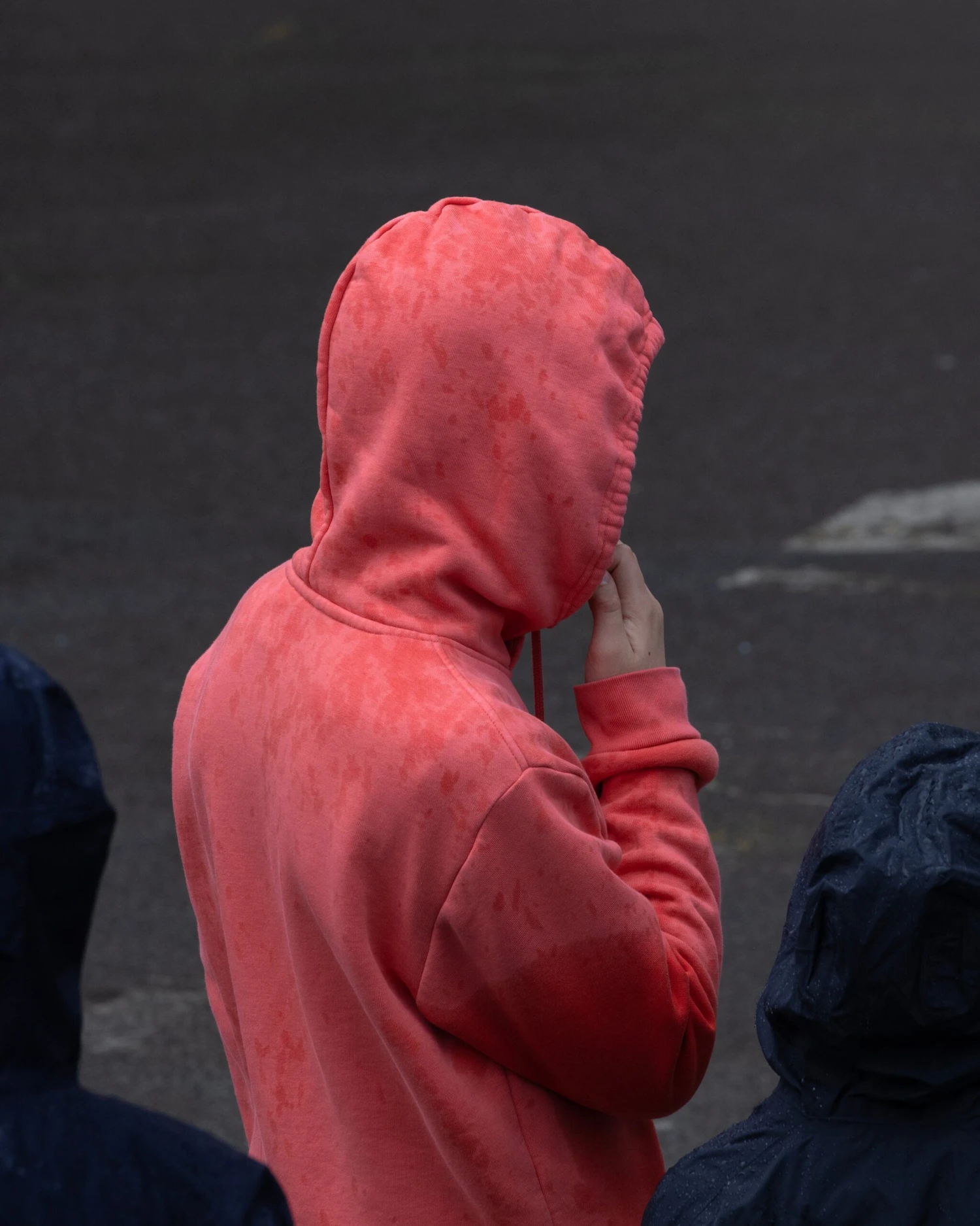 Winter Vandenbrink - Vandals 8 Winter Vandenbrink - Vandals – Image 6