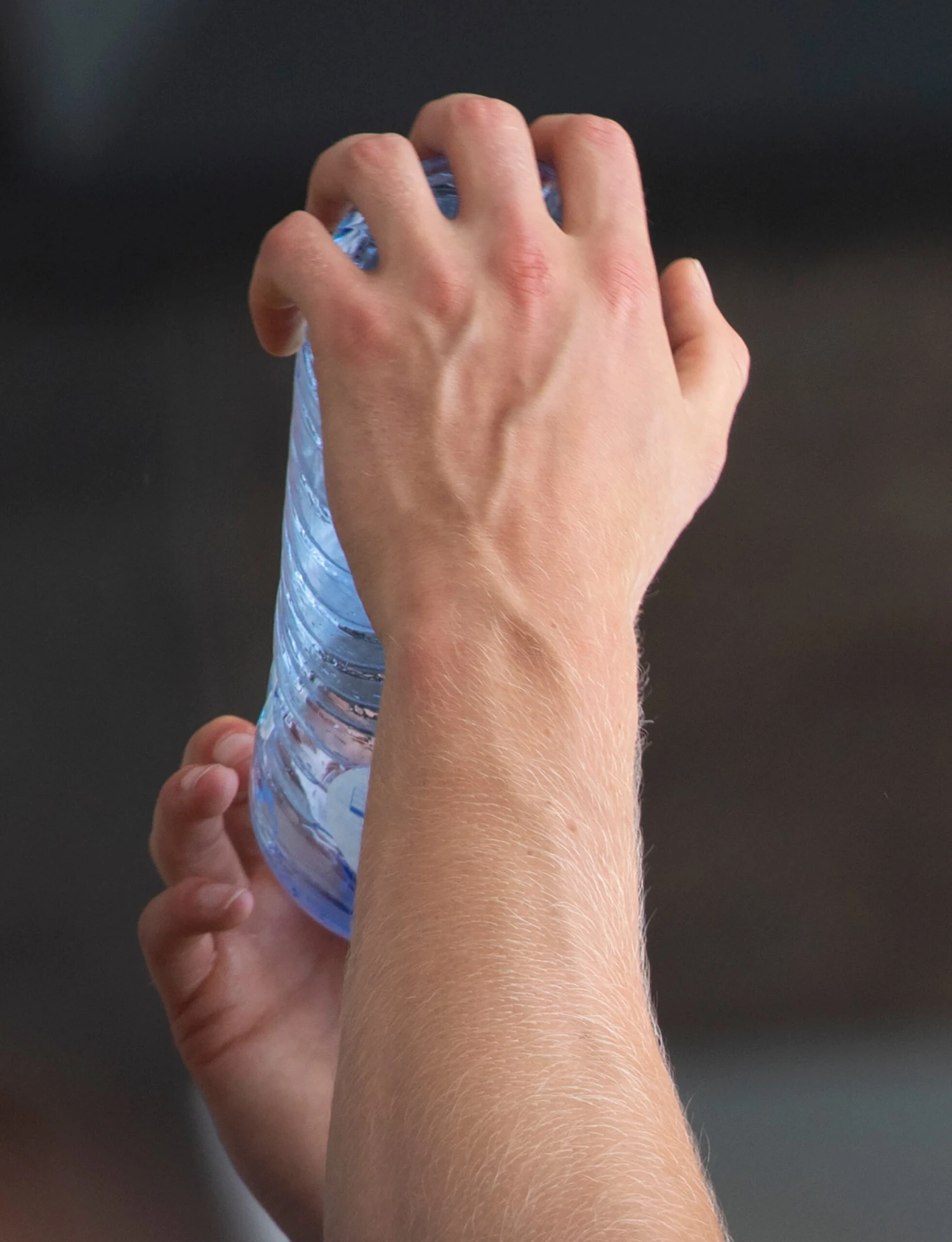 Winter Vandenbrink - Vandals 10 Winter Vandenbrink - Vandals – Image 8