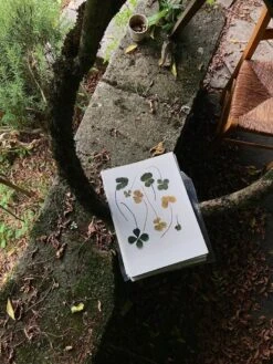 Paysage Ouvert -Yvon Lambert Soldes 7304cf95 0dcc 4e88 af0c 6e9f981ca9b6