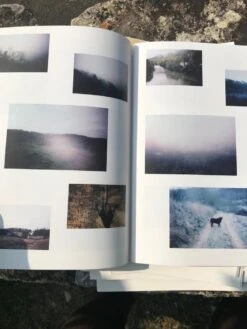 Paysage Ouvert -Yvon Lambert Soldes 7f9ea7bc 731d 49ac a022 9dedf056b4e6