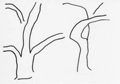 Masanao Hirayama - Olive Trees At Collioure (9066), 2021