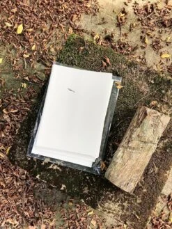 Paysage Ouvert -Yvon Lambert Soldes 93b1526a 5b90 4ae5 b4c9 73c7707ac619