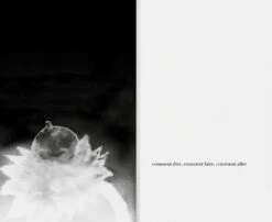 Annette Messager - Laisser Aller Laisser Aller Laisser Aller -Yvon Lambert Soldes AnnetteMessager LaisserAller 13