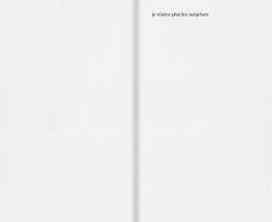 Annette Messager - Laisser Aller Laisser Aller Laisser Aller -Yvon Lambert Soldes AnnetteMessager LaisserAller 2