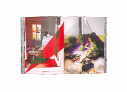 BLESS - Celebrating 25 Years Of Always Stress With BLESS N°42–N°74 -Yvon Lambert Soldes BLESSbook25yearsPIC12 1