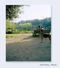 John Divola - Seven Dogs -Yvon Lambert Soldes Captured ecran2020 06 07a15.26.48