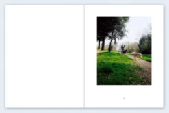 John Divola - Seven Dogs -Yvon Lambert Soldes Captured ecran2020 06 07a15.26.59