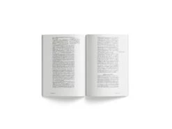 Kenneth Goldsmith - Patrimoine Pirate -Yvon Lambert Soldes D 2 3000x2250 jpg