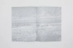 Daniel Gustav Cramer - Fox & Coyote -Yvon Lambert Soldes DanielGustavCramer Fox Coyote 10