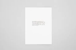 Daniel Gustav Cramer - Fox & Coyote -Yvon Lambert Soldes DanielGustavCramer Fox Coyote 11