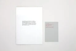 Daniel Gustav Cramer - Fox & Coyote -Yvon Lambert Soldes DanielGustavCramer Fox Coyote 12