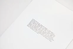 Daniel Gustav Cramer - Fox & Coyote -Yvon Lambert Soldes DanielGustavCramer Fox Coyote 14