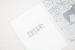 Daniel Gustav Cramer - Fox & Coyote -Yvon Lambert Soldes DanielGustavCramer Fox Coyote 15