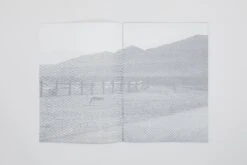 Daniel Gustav Cramer - Fox & Coyote -Yvon Lambert Soldes DanielGustavCramer Fox Coyote 2