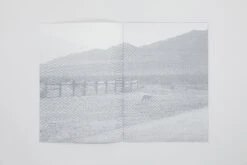 Daniel Gustav Cramer - Fox & Coyote -Yvon Lambert Soldes DanielGustavCramer Fox Coyote 3