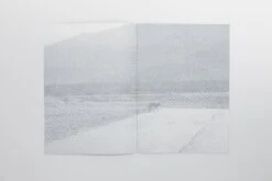 Daniel Gustav Cramer - Fox & Coyote -Yvon Lambert Soldes DanielGustavCramer Fox Coyote 4