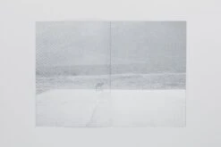 Daniel Gustav Cramer - Fox & Coyote -Yvon Lambert Soldes DanielGustavCramer Fox Coyote 5