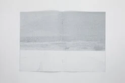 Daniel Gustav Cramer - Fox & Coyote -Yvon Lambert Soldes DanielGustavCramer Fox Coyote 6