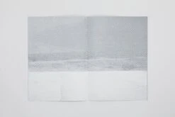 Daniel Gustav Cramer - Fox & Coyote -Yvon Lambert Soldes DanielGustavCramer Fox Coyote 7