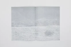 Daniel Gustav Cramer - Fox & Coyote -Yvon Lambert Soldes DanielGustavCramer Fox Coyote 8