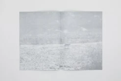 Daniel Gustav Cramer - Fox & Coyote -Yvon Lambert Soldes DanielGustavCramer Fox Coyote 9