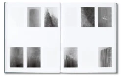 Daniel Shea - Distribution -Yvon Lambert Soldes Distribution 15 jpg