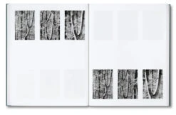 Daniel Shea - Distribution -Yvon Lambert Soldes Distribution 16 jpg