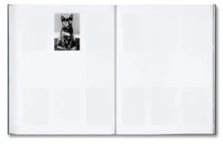 Daniel Shea - Distribution -Yvon Lambert Soldes Distribution 20 jpg