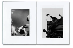 Daniel Shea - Distribution -Yvon Lambert Soldes Distribution 7 jpg