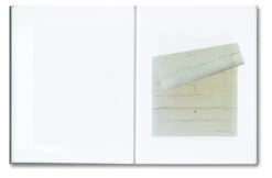 Daniel Shea - Distribution -Yvon Lambert Soldes Distribution 9 jpg