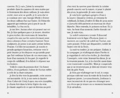 Georges Tony Stoll - L'Îlot 9 Georges Tony Stoll - L'Îlot -Yvon Lambert Soldes GTS L Ilot3