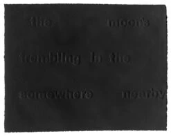 David Horvitz - Moon Black Haiku, 2021