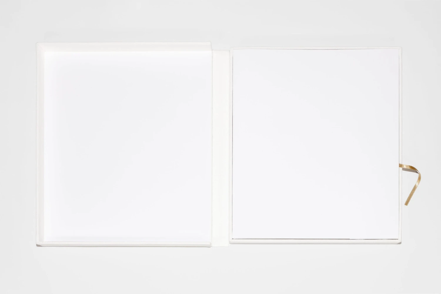 Giuseppe Penone - Pensieri E Linfa 4 Giuseppe Penone - Pensieri E Linfa – Image 2