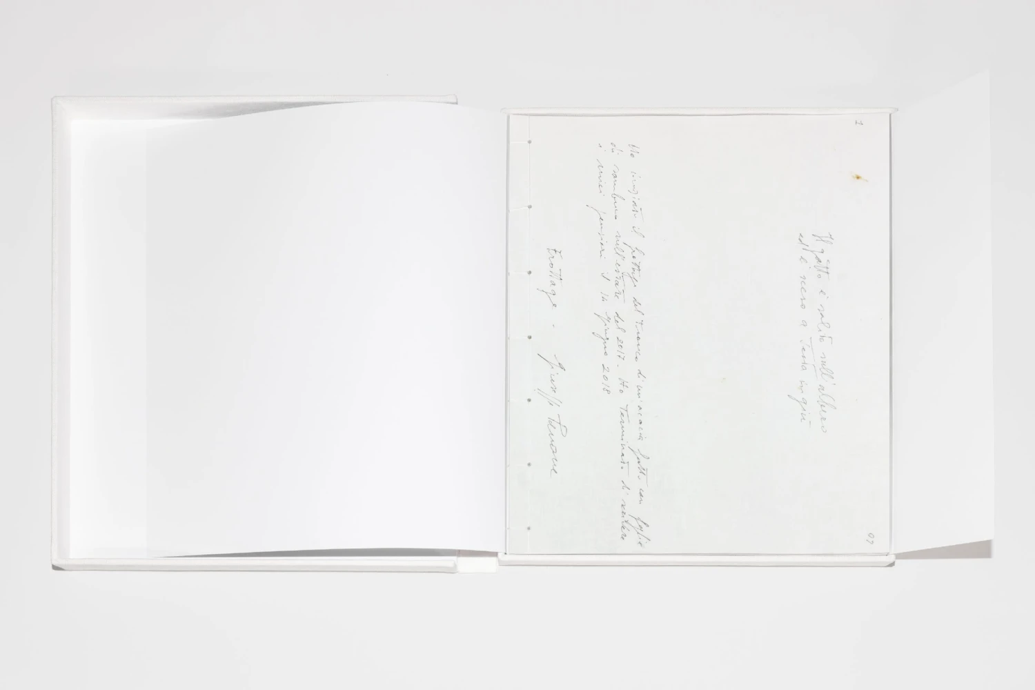 Giuseppe Penone - Pensieri E Linfa 5 Giuseppe Penone - Pensieri E Linfa – Image 3