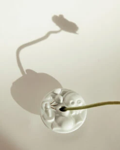 Hubert Le Gall - Memento Mori -Yvon Lambert Soldes HD SOLIFLORE LEGALL 004