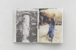 Aladin Borioli (Apian) - RUCHES, 2400 A.E.C. – 1852 E.C. (Une Histoire Visuelle De La Ruche) -Yvon Lambert Soldes HIVES 11 3024x c0e86d3a 50e8 4efa bb5f 0f46a20ee689