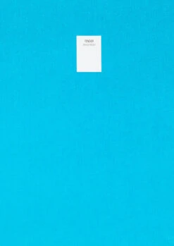 Jenny Holzer - Tender