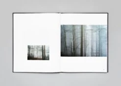 Stéphan Crasneanscki - The Encounter 30 Stéphan Crasneanscki - The Encounter -Yvon Lambert Soldes LM Stephan Crasneanscki The Encounter 12