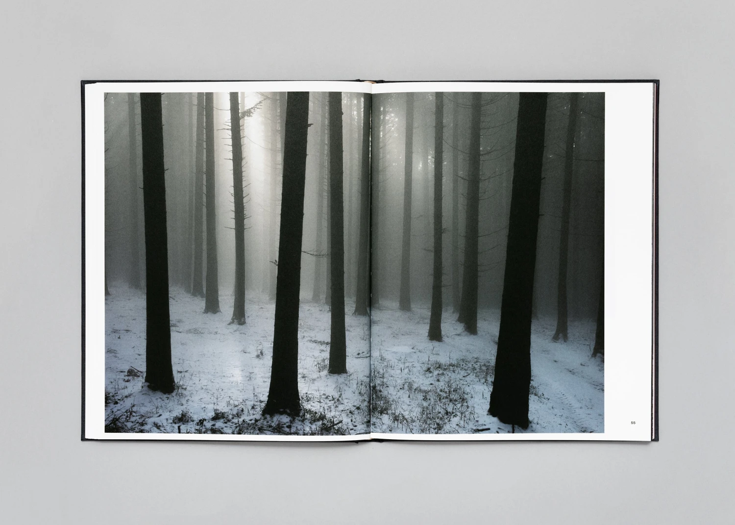 Stéphan Crasneanscki - The Encounter 15 Stéphan Crasneanscki - The Encounter – Image 13