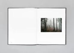 Stéphan Crasneanscki - The Encounter 32 Stéphan Crasneanscki - The Encounter -Yvon Lambert Soldes LM Stephan Crasneanscki The Encounter 15