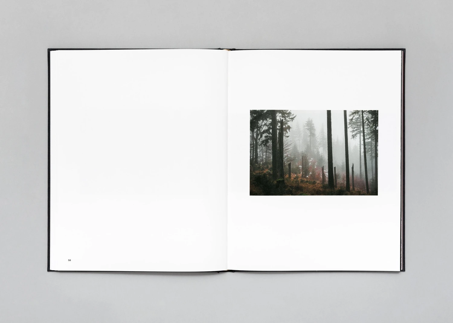 Stéphan Crasneanscki - The Encounter 16 Stéphan Crasneanscki - The Encounter – Image 14