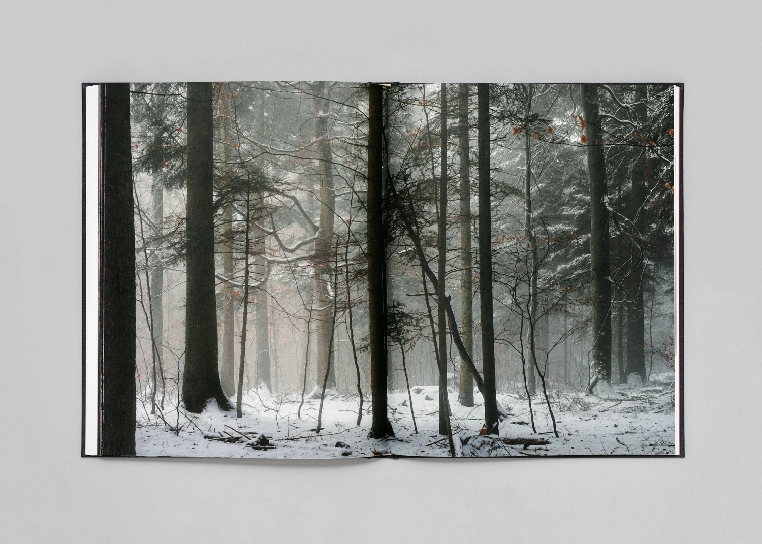 Stéphan Crasneanscki - The Encounter 18 Stéphan Crasneanscki - The Encounter – Image 16