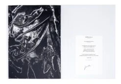 Loris Gréaud - /MIˈÆNDƏ(ɹ)/ Meander -Yvon Lambert Soldes LorisGreaud Meander 3