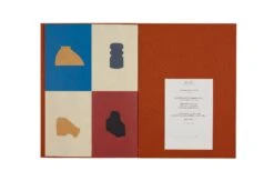 Philippe Weisbecker - Alter/Natif -Yvon Lambert Soldes PliselonPli PW AlterNatif 4